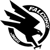 Falcons Logo